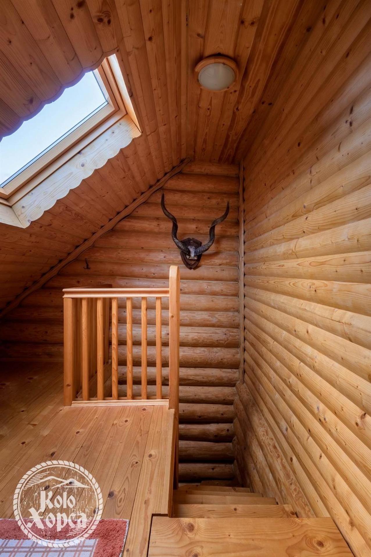 Apartamento Коло Хорса Slavske Habitación foto